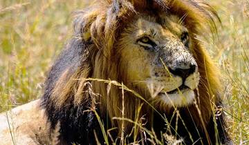 East Africa Safari (11 Days) Tour