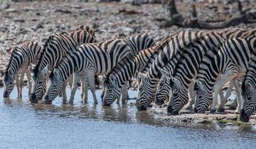 10 Day Namibia Itinerary, incl. Sossusvlei and Etosha