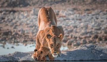 10 Day Namibia Itinerary, incl. Sossusvlei and Etosha