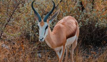 10 Day Namibia Itinerary, incl. Sossusvlei and Etosha