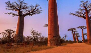 Madagascar