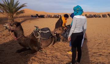 Reis door de Sahara-woestijn