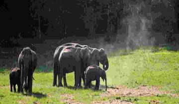 Best of Southern India with Houseboat Stay