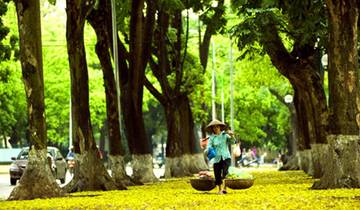 12 jours au Vietnam, de Hanoi au centre et au sud du pays circuit