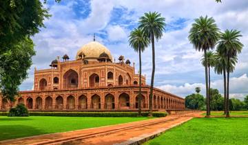 10 Days Golden Triangle With Jungle Safari