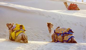 Abenteuer-Tour in Rajasthan Rundreise