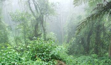 Kilimanjaro Umbwe Route Climb -Private options available