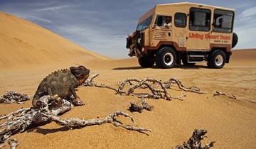 Namibia Abenteuersafari in Afrika (inkl. Unterkunft, Transport & Aktivitäten) Rundreise