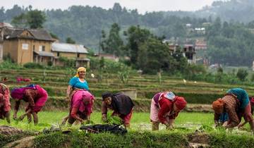 Ziel van Nepal-rondreis