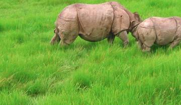 Chitwan National Park Safari Tour