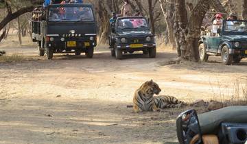 Taj Mahal & Tigers - Golden Triangle India Tour with Ranthambore 7 Days Tour