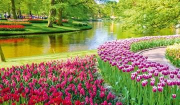 Springtime in Holland (port-to-port cruise) Tour