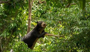 20 Days in Malaysia, incl. Kuala Lumpur and Borneo