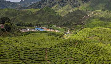 20 Days in Malaysia, incl. Kuala Lumpur and Borneo