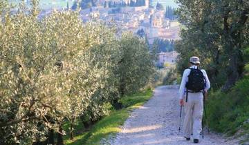 St Francis Way: Assisi to Spoleto Tour