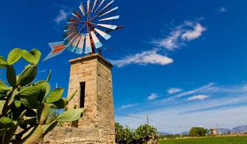 8 Day Mallorca Itinerary, incl. Can Pastilla and Can Picafort