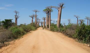 Madagascar discovery and splendour