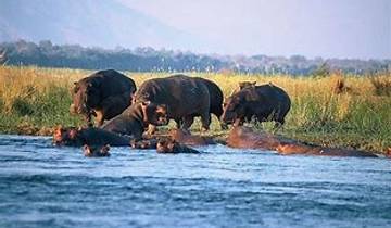 4 Days Victoria Falls Adventure and Hwange Safari