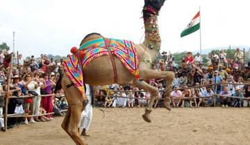 Private Golden Triangle Tour with Royal Rajasthan Tour