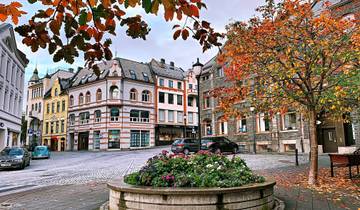 Visit Fjords in Golden Autumn