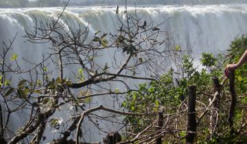 Victoria Falls Hwange And Chobe Tour