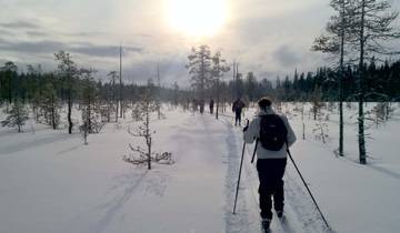 Finland\'s eastern wilderness Tour