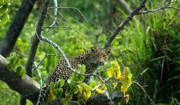 Weekend in Nepal - Chitwan Safari