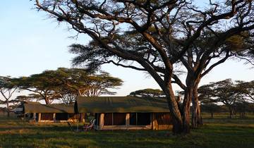 5 Days Tanzania Tented Lodge Safari Tour