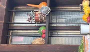 10 Days in Bulgaria, incl. Sofia and Plovdiv