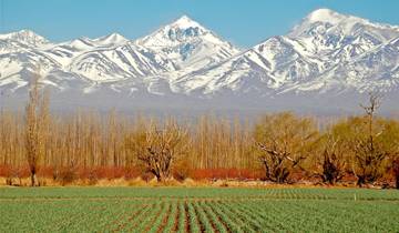 4 -  Days Trip to Mendoza & The Andes Tour