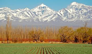 4 -  Days Trip to Mendoza & The Andes