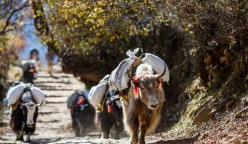 15 Days in Nepal, incl. Kathmandu and Langtang Valley