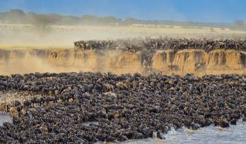 11 Days Gorillas & The Great Migration and Big Five Tour