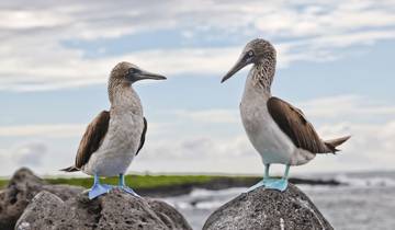 Zuid –Galapagos EilandagenHopen-rondreis