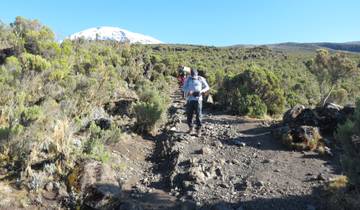 Kilimanjaro Lemosho Route 8 Day Tour