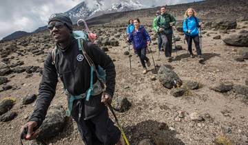 Mt Kilimanjaro 8 Días - Lemosho Ruta Definitiva