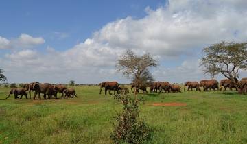 4 Days Masai Mara/Nakuru Group Joining Safari