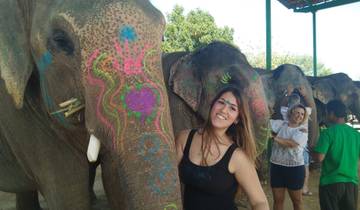 Circuito Explora la Ciudad de Jaipur desde Delhi todo incluido 12 horas