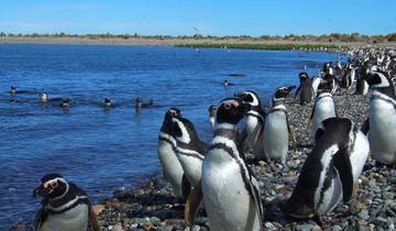 Argentina - Puerto Madryn, Bariloche, Calafate & Ushuaia or Viceversa - 9 days