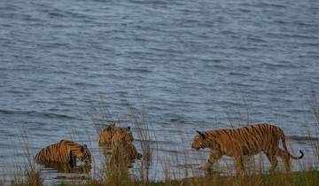 7 Days in North India, incl. Delhi and Jaipur