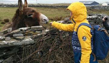 13 Days in Ireland, incl. Dublin and Belfast