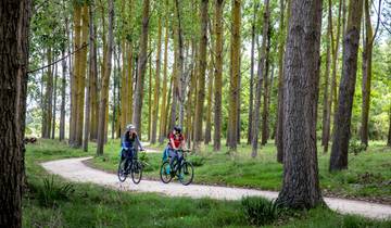 Tour de Hawkes Bay Estates - Self guided