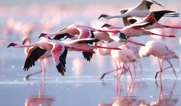 5 Days Kenya Camping Safari - Great Rift Valley and Maasai Mara Tour