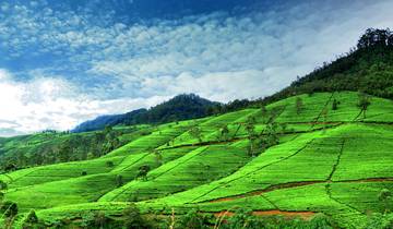 Essentials of Sri Lanka  (Free Upgrade Private tour for two paying clients or more available) Tour