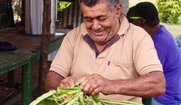 8 Days in Fiji, incl. Nadi and Suva