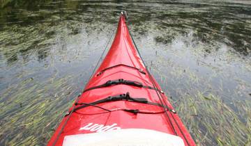 Odisea en kayak de 3 días en Barkley Sound