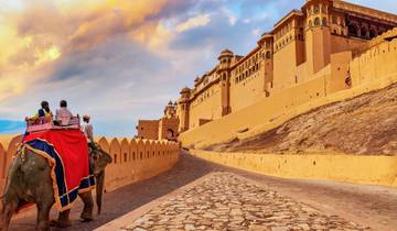 Taj Mahal Tour + Tiger Safari | Royal Rajasthan Travels Tour