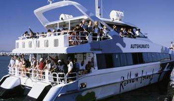 South Africa Cape Town, 5 Days - Robben Island Tour, Mossel Bay, Knysna / Plettenberg Bay, Oudtshoorn & Addo Game Drive Tour