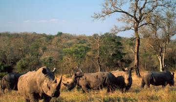 5-Dagen - Cape Point pinguïns Tour- Oudtshoroorn- Mossel Bay - Knysna - Addo Elephant + Overnachting