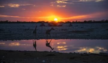 Hoogtepunten van zuidelijk Afrika